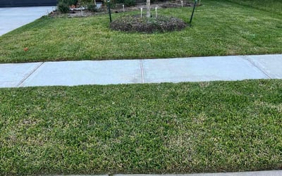Photo of Journey R.'s yard after getting lawn care in La Porte, TX