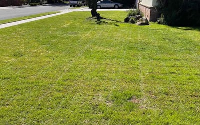 Photo of Sarahmarie L.'s yard after getting lawn care in Sanger, CA