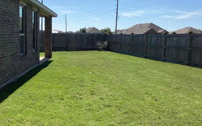Photo of Alexandria P.'s yard after getting lawn care in Dickinson, TX