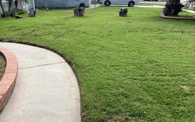Photo of Desiree W.'s yard after getting lawn care in Irvine, CA