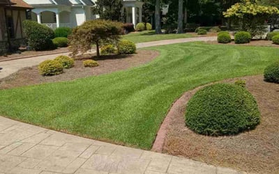 Photo of Gloria R.'s yard after getting lawn care in Anderson, SC