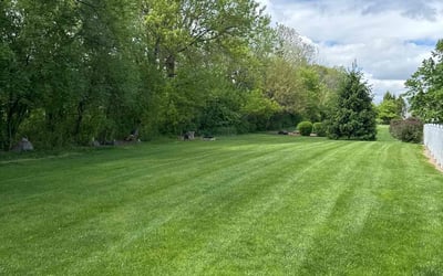 Photo of Shawn R.'s yard after getting lawn care in Lake Mary, FL