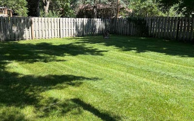 Photo of Derriel D.'s yard after getting lawn care in Andover, MN