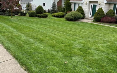 Photo of Martina L.'s yard after getting lawn care in Rocky Hill, CT