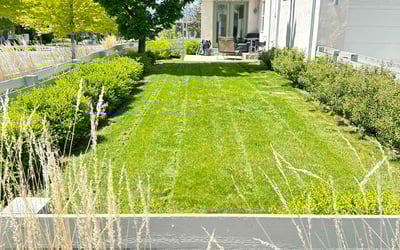 Photo of Jennifer R.'s yard after getting lawn care in Acworth, GA