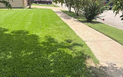 Photo of Kelly C.'s yard after getting lawn care in Youngsville, LA