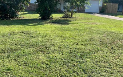 Photo of Linda L.'s yard after getting lawn care in Atascadero, CA