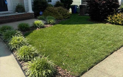 Photo of Emre G.'s yard after getting lawn care in Enfield, CT