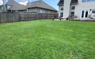 Photo of Eileen S.'s yard after getting lawn care in Centennial, CO