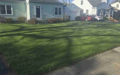 Photo of Eric G.'s yard after getting lawn care in Rochester, NY