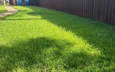 Photo of Kevin B.'s yard after getting lawn care in Mountain Top, PA