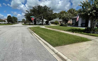 Photo of Denise S.'s yard after getting lawn care in Oak Lawn, IL
