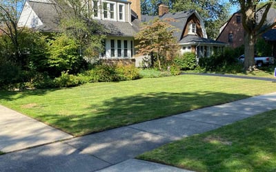 Photo of Daryl S.'s yard after getting lawn care in Hamtramck, MI