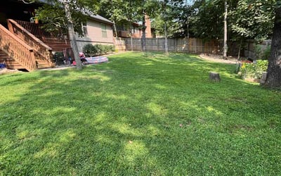 Photo of Alissa C.'s yard after getting lawn care in Bella Vista, AR