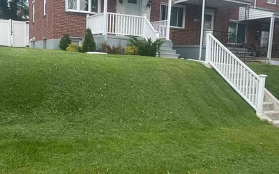 Photo of Dana W.'s yard after getting lawn care in Princeton, TX