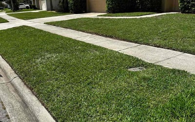 Photo of Margaret I.'s yard after getting lawn care in World Golf Village, FL