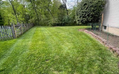 Photo of Marla T.'s yard after getting lawn care in Sterling, VA