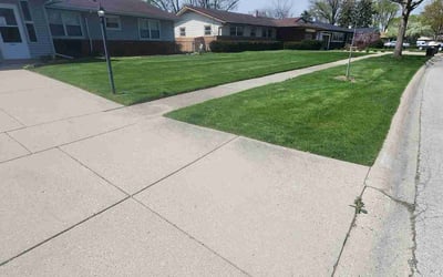 Photo of Delal M.'s yard after getting lawn care in Elk Grove Village, IL