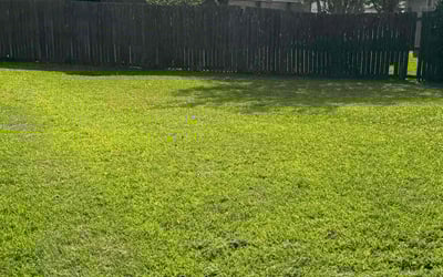 Photo of Kyle M.'s yard after getting lawn care in Melrose, MA