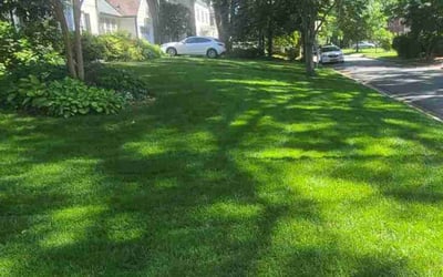 Photo of Brian G.'s yard after getting lawn care in Bethesda, MD