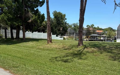 Photo of Vanessa V.'s yard after getting lawn care in Hopkinsville, KY