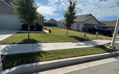 Photo of Laura b.'s yard after getting lawn care in New Braunfels, TX