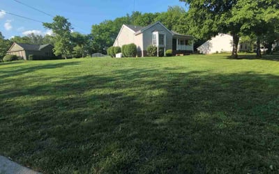 Photo of Michael Z.'s yard after getting lawn care in Nashville, TN