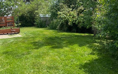 Photo of Renona P.'s yard after getting lawn care in Dorchester, MA