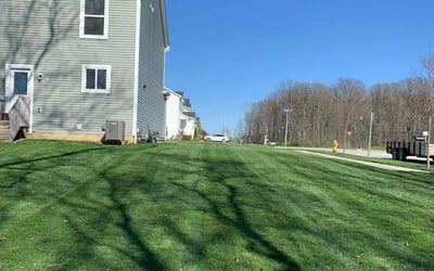 Photo of Safiya T.'s yard after getting lawn care in Groveport, OH