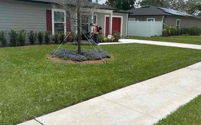 Photo of Tammy S.'s yard after getting lawn care in Rockaway, NJ