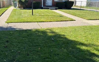 Photo of Pamela H.'s yard after getting lawn care in Allen Park, MI