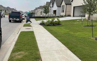 Photo of Ben K.'s yard after getting lawn care in Liberty Hill, TX