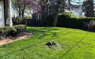 Photo of Latoya M.'s yard after getting lawn care in Arbutus, MD