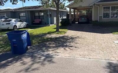 Photo of Allison B.'s yard after getting lawn care in Springfield, NJ