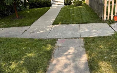 Photo of Jordan D.'s yard after getting lawn care in Evanston, IL