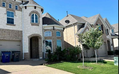 Photo of Rey B.'s yard after getting tree care in Wylie, TX