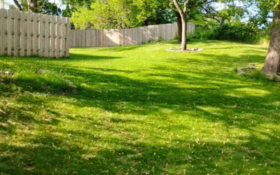 Photo of Robert M.'s yard after getting lawn care in Jacksonville, FL