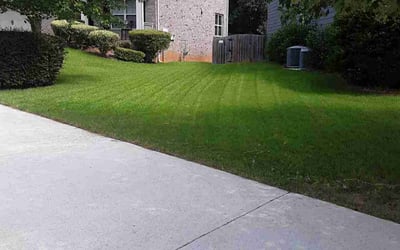 Photo of Deborah D.'s yard after getting lawn care in Tucker, GA