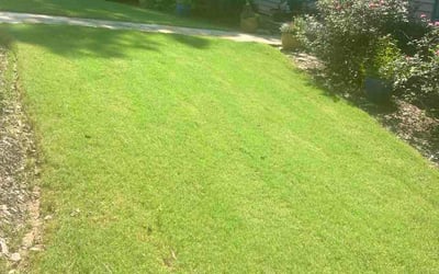 Photo of Mike K.'s yard after getting lawn care in Sherman, TX