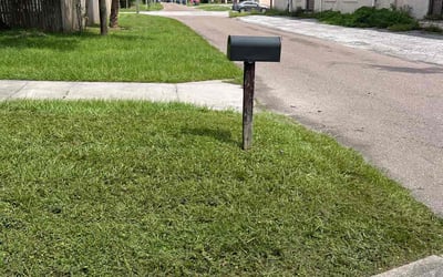 Photo of Scott O.'s yard after getting lawn care in Haddonfield, NJ