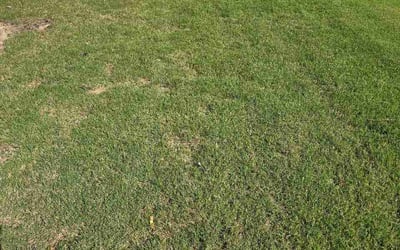 Photo of Jordan S.'s yard after getting lawn care in Fairfield, OH