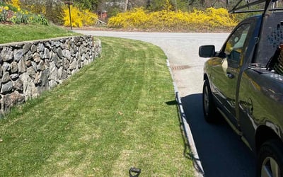 Photo of Anita P.'s yard after getting lawn care in Wilmington, MA