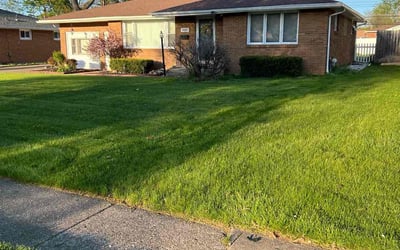 Photo of Samantha S.'s yard after getting lawn care in Tonawanda, NY