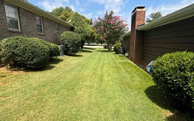 Photo of Ryan S.'s yard after getting lawn care in Stone Mountain, GA