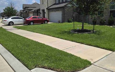 Photo of Justin C.'s yard after getting lawn care in Converse, TX
