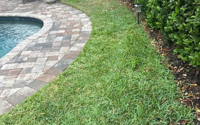 Photo of Florence P.'s yard after getting lawn care in Gulfport, MS