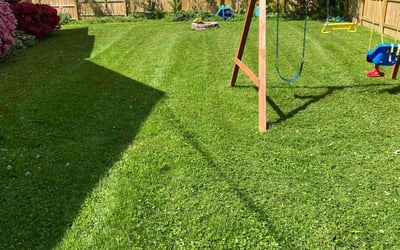 Photo of Amirshahram H.'s yard after getting lawn care in Damascus, MD