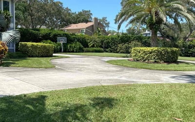 Photo of Janice J.'s yard after getting lawn care in Seminole, FL