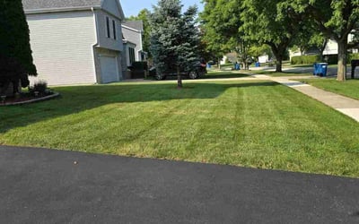 Photo of Jennifer W.'s yard after getting lawn care in Bartlett, IL