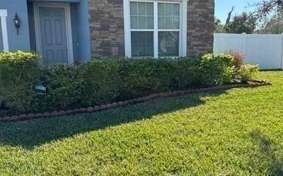 Photo of Paul P.'s yard after getting lawn care in Ocoee, FL